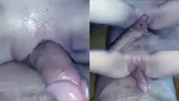 Memek Mulus Gesek ke Kontol Video by SpankBang